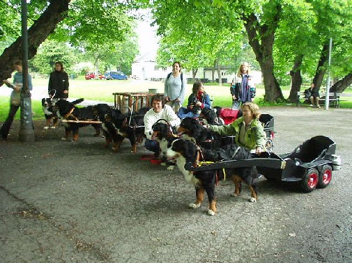 Frognerparken 2003